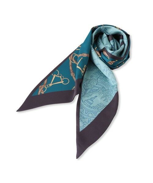 LAUTREAMONT / ロートレアモン マフラー・ショール・スヌード・ストール | ケンサキリバーマップガラスカーフ≪洗濯機で洗える≫ | 詳細5