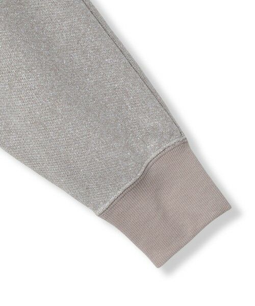 LAUTREAMONT / ロートレアモン カットソー | ラメ裏毛カットソー | 詳細10