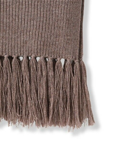 LAUTREAMONT / ロートレアモン ニット・セーター | フリンジベスト | 詳細17