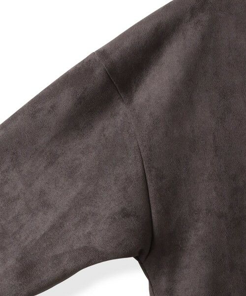 LAUTREAMONT / ロートレアモン カットソー | 【WEB限定】フェイクスエードプルオーバー≪セットアップ対応/洗える≫ | 詳細29