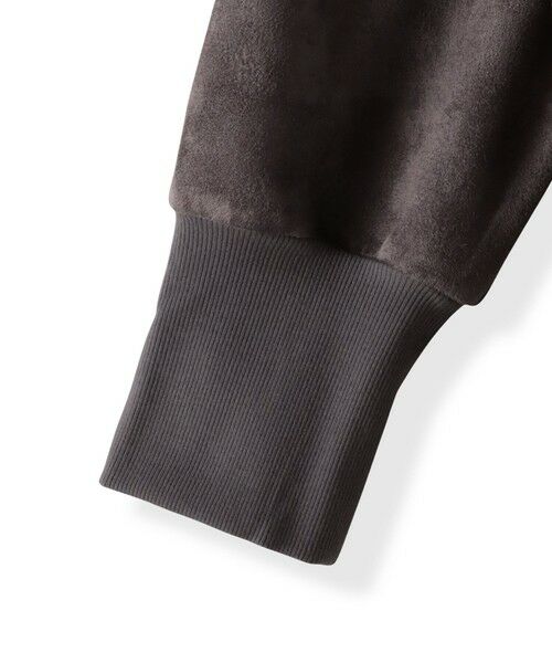LAUTREAMONT / ロートレアモン カットソー | 【WEB限定】フェイクスエードプルオーバー≪セットアップ対応≫ | 詳細6