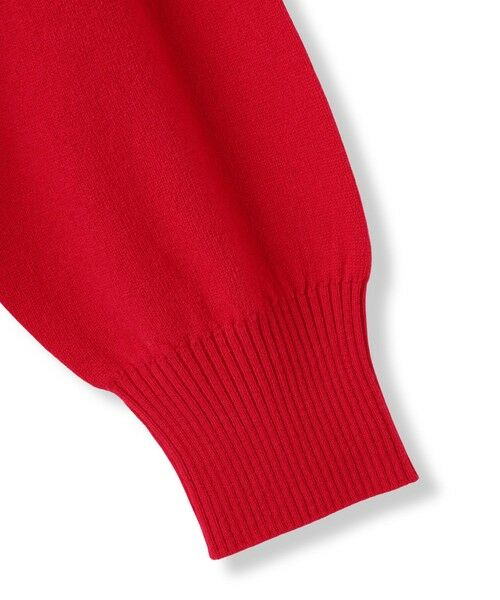 LAUTREAMONT / ロートレアモン ニット・セーター | ファインメリノウールチュニックニット≪洗える≫ | 詳細4