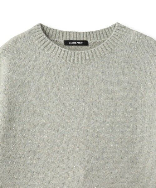 LAUTREAMONT / ロートレアモン ニット・セーター | スパンコールクルーネックニット≪洗える≫ | 詳細10