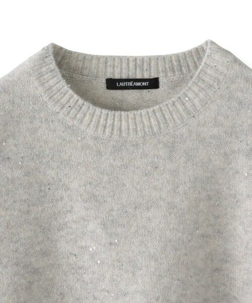 LAUTREAMONT / ロートレアモン ニット・セーター | スパンコールクルーネックニット≪洗える≫ | 詳細15