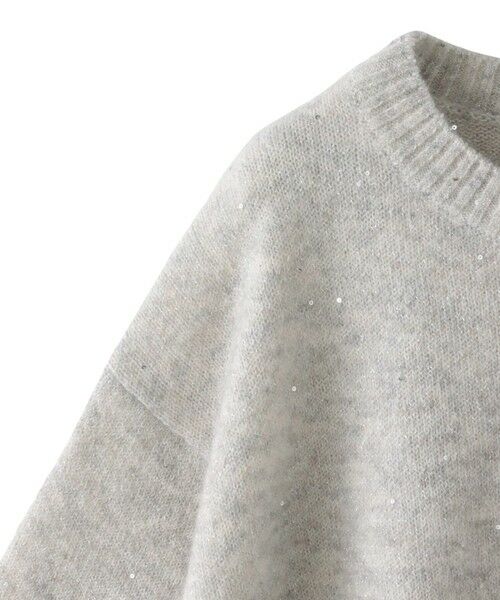 LAUTREAMONT / ロートレアモン ニット・セーター | スパンコールクルーネックニット≪洗える≫ | 詳細16