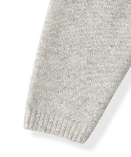 LAUTREAMONT / ロートレアモン ニット・セーター | スパンコールクルーネックニット≪洗える≫ | 詳細17