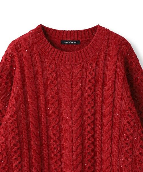 LAUTREAMONT / ロートレアモン ニット・セーター | 【WEB限定】ケーブル柄編みニット≪洗える≫ | 詳細16
