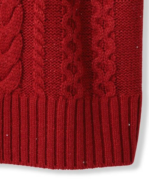 LAUTREAMONT / ロートレアモン ニット・セーター | 【WEB限定】ケーブル柄編みニット≪洗える≫ | 詳細18