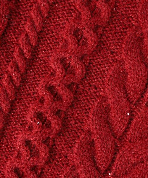 LAUTREAMONT / ロートレアモン ニット・セーター | 【WEB限定】ケーブル柄編みニット≪洗える≫ | 詳細19