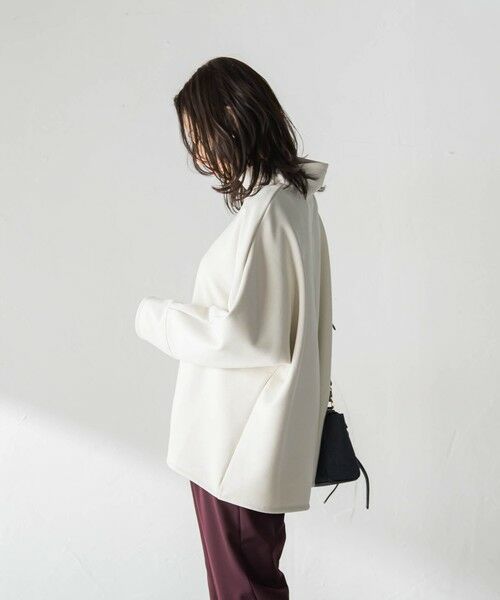 LAUTREAMONT / ロートレアモン カットソー | 【WEB限定】裏毛布スタンドネックプルオーバー≪毛玉防止・ストレッチ≫ | 詳細2