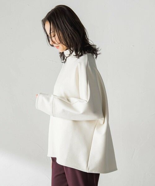 LAUTREAMONT / ロートレアモン カットソー | 【WEB限定】裏毛布スタンドネックプルオーバー≪毛玉防止・ストレッチ≫ | 詳細14