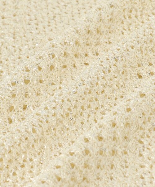 le.coeur blanc / ルクールブラン ニット・セーター | TORRAZZO DONNAスパンコールニット | 詳細27