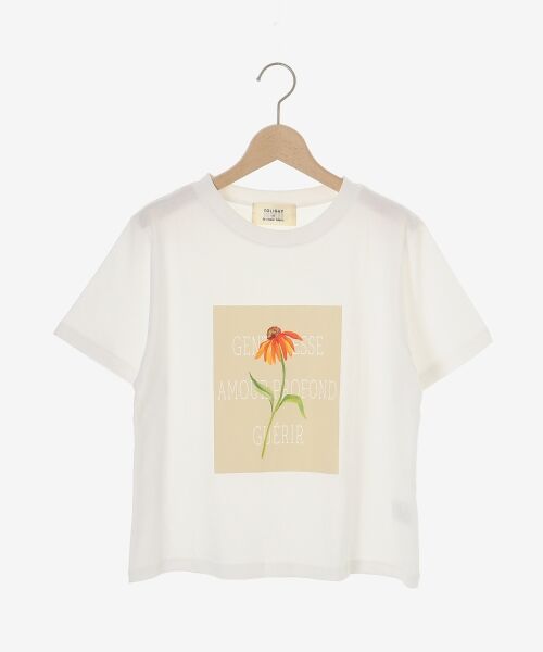 le.coeur blanc / ルクールブラン Tシャツ | TOLIGHT×le.coeur blancロゴプリントTシャツ | 詳細18