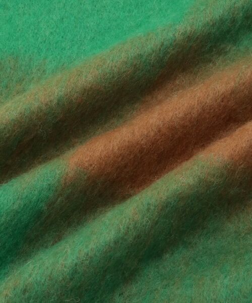 le.coeur blanc / ルクールブラン マフラー・ショール・スヌード・ストール | ビッグフリンジチェックストール | 詳細17