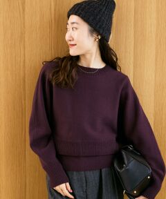 le.coeur blanc / ルクールブラン ニット・セーター | 《手洗い可能》3WAYレイヤードクルーニット