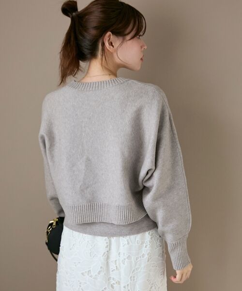 le.coeur blanc / ルクールブラン ニット・セーター | 《手洗い可能》3WAYレイヤードクルーニット | 詳細29
