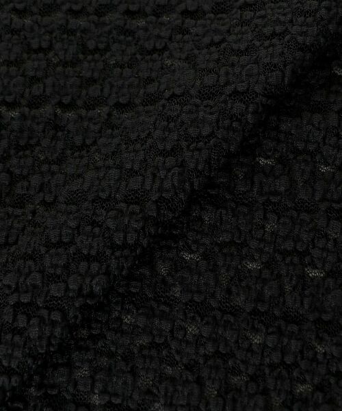 le.coeur blanc / ルクールブラン カットソー | 《WEB限定アイテム》ストレッチレースハーフスリーブプルオーバー | 詳細26