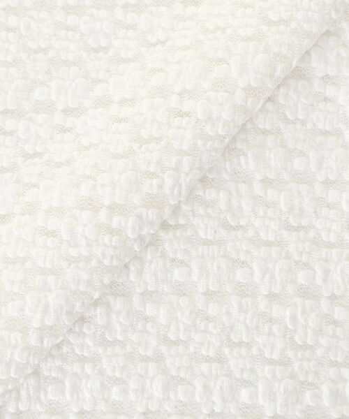 le.coeur blanc / ルクールブラン カットソー | 《WEB限定アイテム》ストレッチレースハーフスリーブプルオーバー | 詳細27