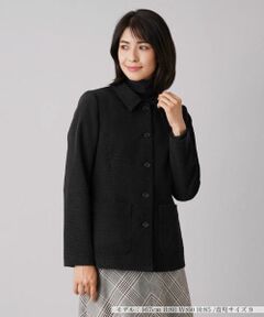 Leilian / レリアン テーラードジャケット | ステンカラージャケット【ROCHAS Premiere】