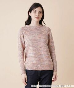 Leilian / レリアン ニット・セーター | ミックスカラークルーネックニットプルオーバー