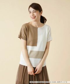 Leilian / レリアン ニット・セーター | カラーブロッククルーネックニット【HAND】