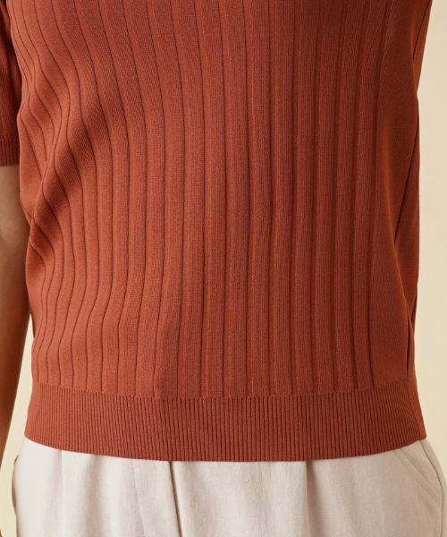 Leilian / レリアン ポロシャツ | ワイドリブニットポロシャツ | 詳細10