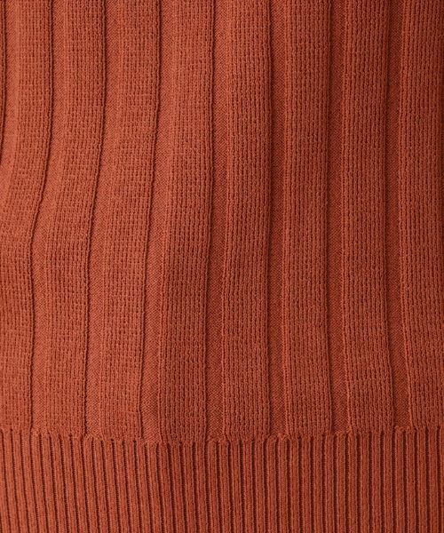 Leilian / レリアン ポロシャツ | ワイドリブニットポロシャツ | 詳細11