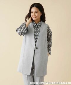 Leilian / レリアン テーラードジャケット | 【キャリアスタイル】洗えるジレ