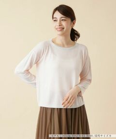 Leilian / レリアン ニット・セーター | 配色ラインクルーネックニット