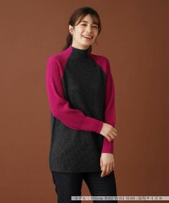 Leilian / レリアン ニット・セーター | バイカラーハイネックニット