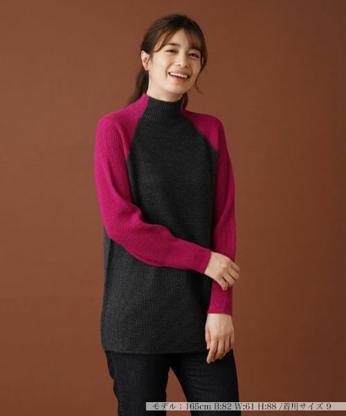 Leilian/レリアン バイカラーハイネックニット レッド 9(M) Leilian/レリアン バイカラーハイネックニット レッド 9(M)