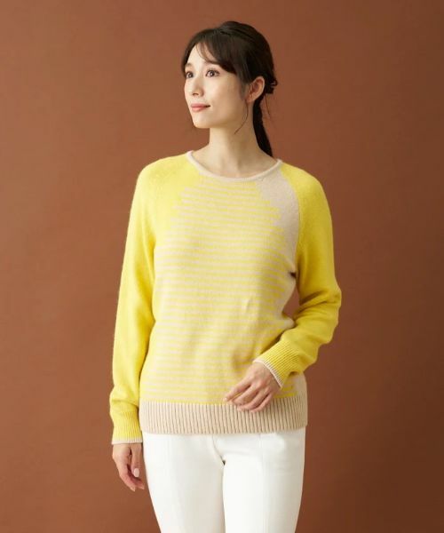 Leilian / レリアン ニット・セーター | カラーブロックボーダーニット | 詳細1