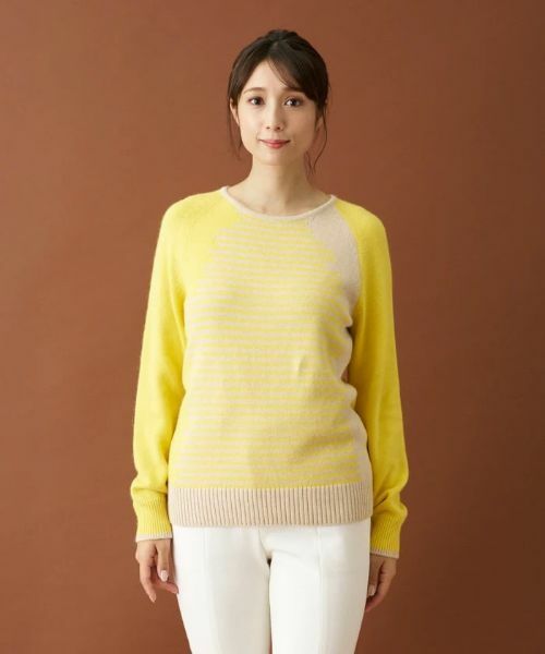 Leilian / レリアン ニット・セーター | カラーブロックボーダーニット | 詳細2
