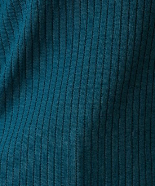 Leilian / レリアン ニット・セーター | 切替ベルスリーブリブニット【Leilian：EZUMI】 | 詳細14