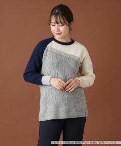 Leilian / レリアン ニット・セーター | ラメカラーブロックニット