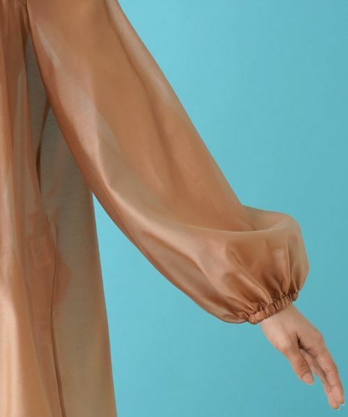 Leilian / レリアン シャツ・ブラウス | ボウタイブラウス | 詳細23