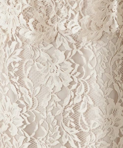 Leilian / レリアン ドレス | ミディ丈総レースワンピース | 詳細19