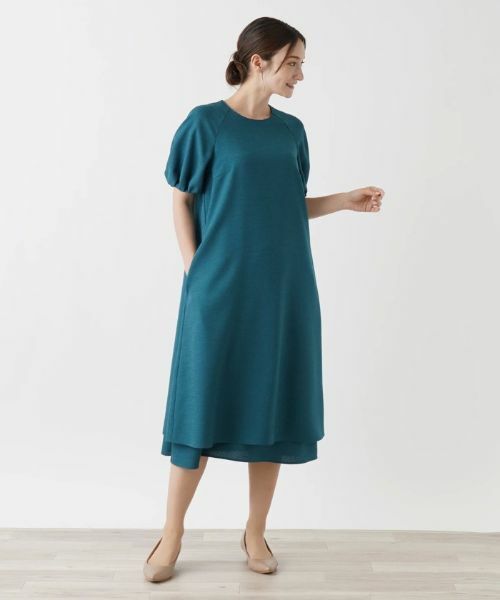 Leilian / レリアン ドレス | 洗えるワンピース【Leilian WHITE LABEL】 | 詳細1