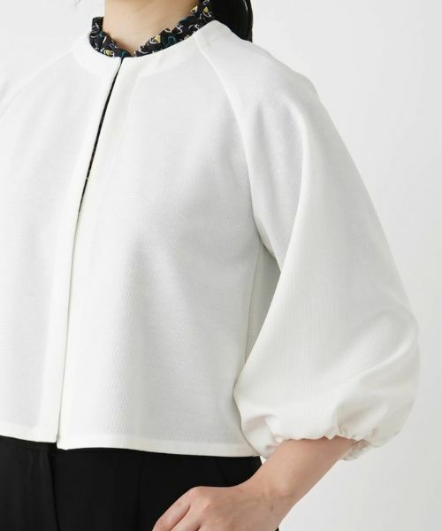 Leilian / レリアン テーラードジャケット | 【きれいめ】洗えるノーカラージャケット【Leilian WHITE LABEL】 | 詳細13