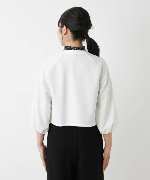 Leilian / レリアン テーラードジャケット | 【きれいめ】洗えるノーカラージャケット【Leilian WHITE LABEL】 | 詳細9