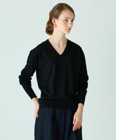 Leilian / レリアン ニット・セーター | Vネックニットプルオーバー