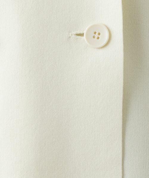 Leilian / レリアン テーラードジャケット | ブレザー【Leilian WHITE LABEL】 | 詳細22