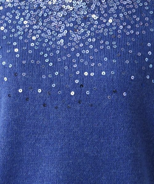 Leilian / レリアン ニット・セーター | スパンコール刺繍ニット | 詳細17