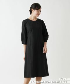 Leilian / レリアン ドレス | 洗えるワンピース【Leilian WHITE LABEL】