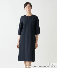 Leilian / レリアン ドレス | 洗えるワンピース【Leilian WHITE LABEL】