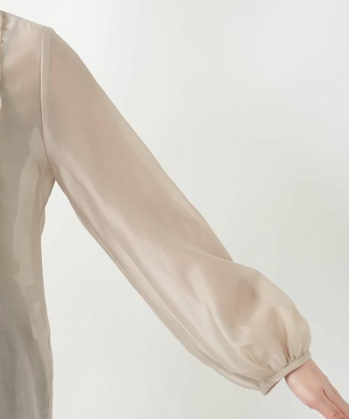 Leilian / レリアン シャツ・ブラウス | フリルブラウス | 詳細12