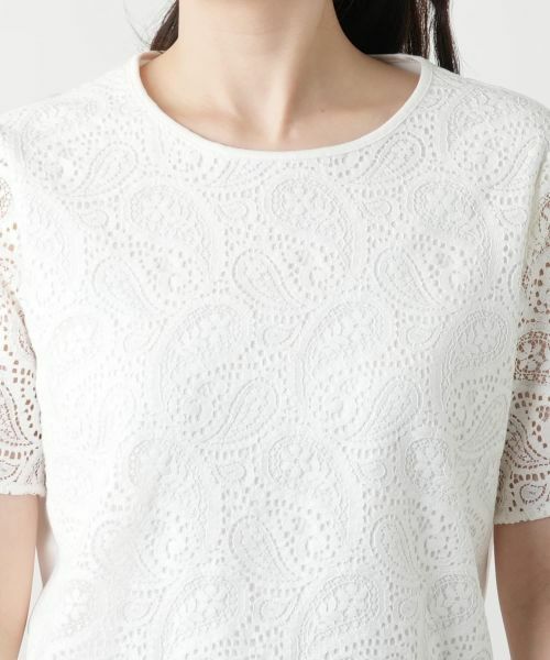 Leilian / レリアン カットソー | レース切替カットソー | 詳細7