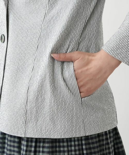 Leilian / レリアン テーラードジャケット | ストライプジャケット【Leilian WHITE LABEL】 | 詳細11
