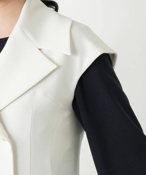 Leilian / レリアン テーラードジャケット | 【店舗人気】ダブルボタンベスト | 詳細12