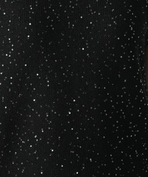 Leilian / レリアン ニット・セーター | スパンコールニット【LE TRICOT PERUGIA】 | 詳細15